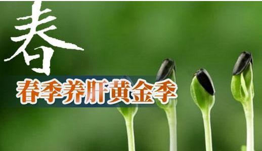 春天是养肝好时节，养成3个好习惯，肝火消肝脏好