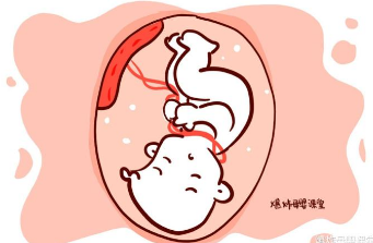 孕妈熬夜，对肚子里的胎儿有什么影响？知道了这些你还敢熬夜吗？