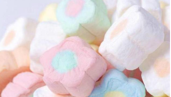 "棉花糖"实验告诉家长们：能有延迟满足能力的孩子，更容易成功