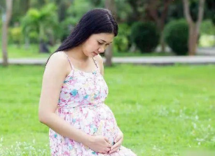 孕妈应该如何在怀孕早期养胎？